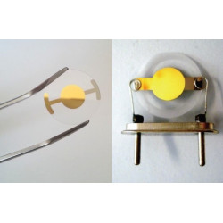 Metrohm, Autolab, Quartz Crystal