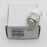 Xenon Bulb