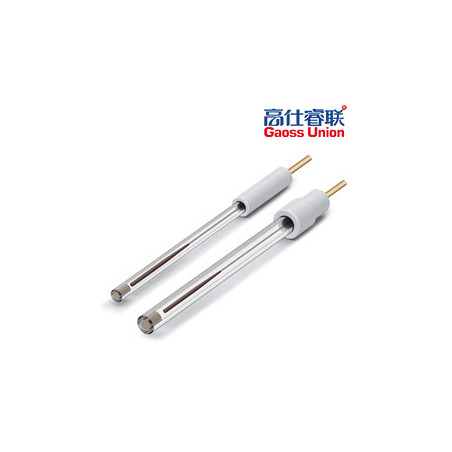 Ag/AgCl electrode