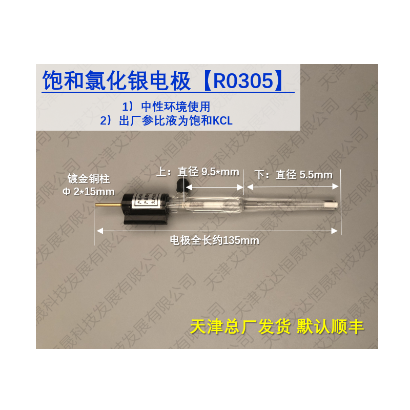 R0305 Electrode 艾达 Aida