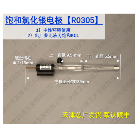 R0305 Electrode 艾达 Aida