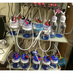 X2LAB LiO2 Bottle Cell 500ml