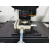 Digital Microscope for Dendrite Observation Yuescope
