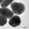 Au@SiO2, Nanostructure, Nanoparticle,Gold-Core Silica-Shell