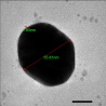 二氧化硅包金核壳结构纳米粒子  (60nmAu@2nm Si02, 1ml)