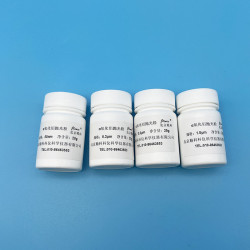 0.3um Alumina Powder for Electrode Polishing (10g)
