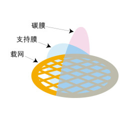 Beijing XXBR T10023 300-mesh Carbon Support Film on imported copper grid (100pcs)