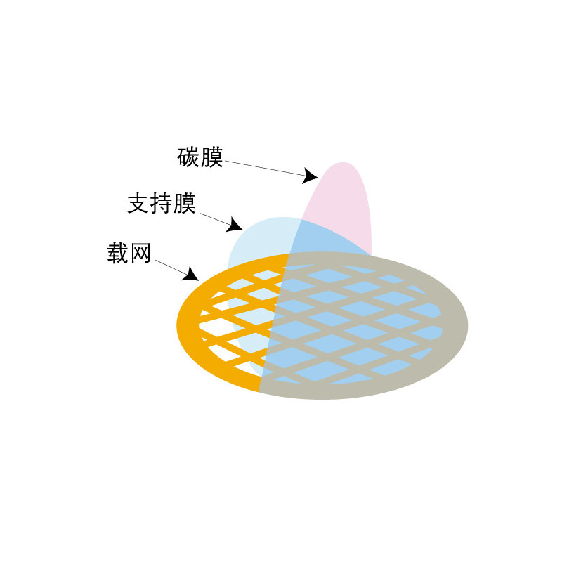 北京新兴百瑞碳支持膜进口铜网，300目 (100pcs/box)