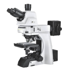 Digital Microscope for Dendrite Observation