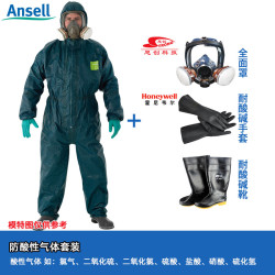 Full-body with Full-face Gas Mask Set (Acid Gas Resistant) - Size S MicroGuard 4000 Hazardous Chemical Protective Suit